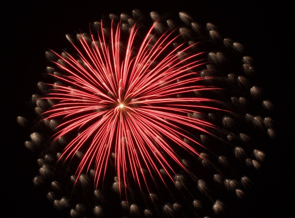 Svētku salūts, petardes, pirotehnika, peonija