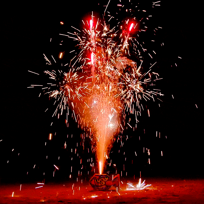 Svētku salūts, petardes, pirotehnika, peonija